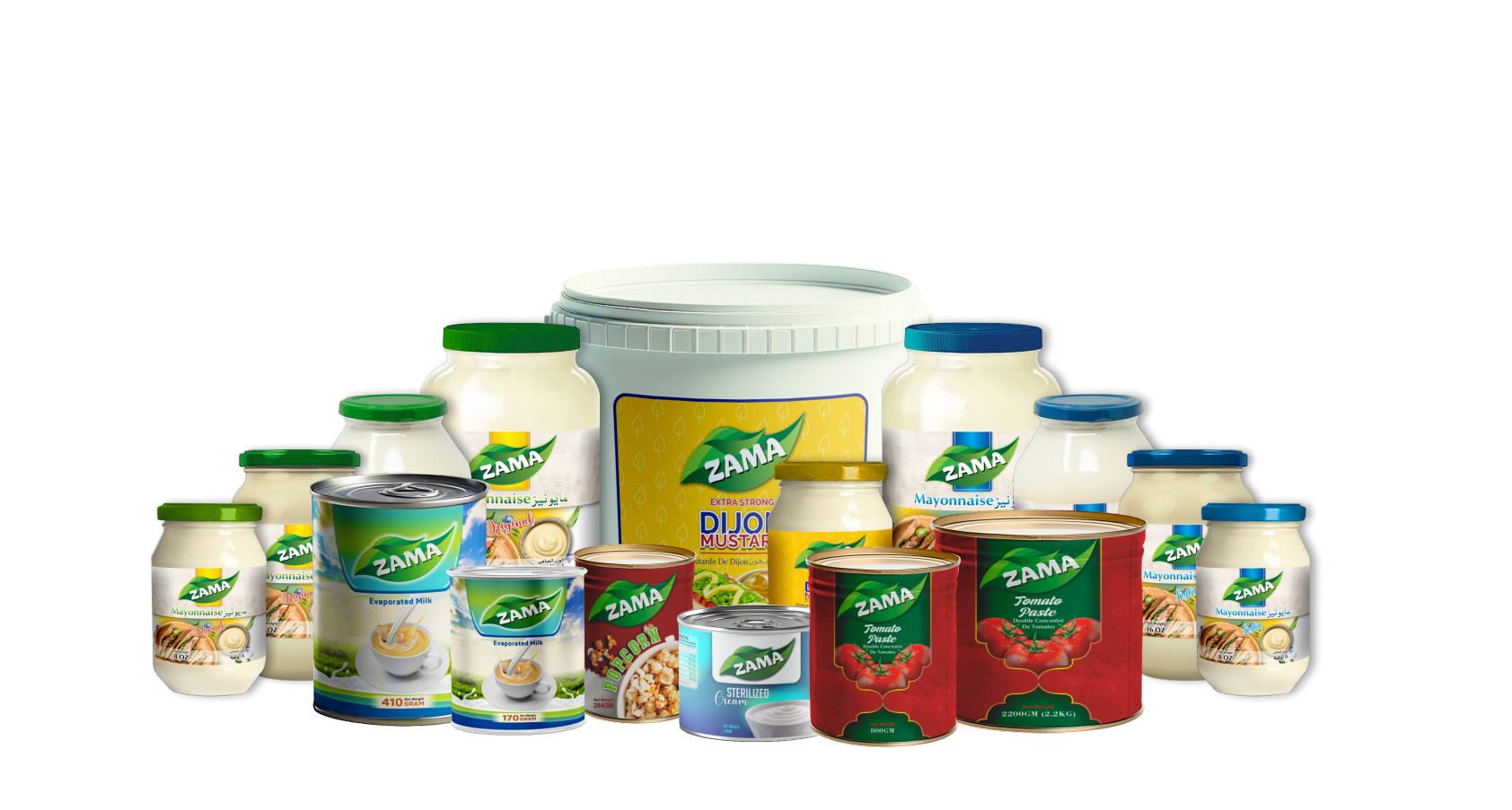 zama products (3)_00